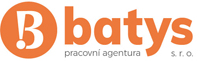 logo batys